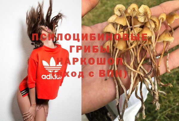 хмурый Осташков