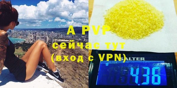 apvp Тобольск