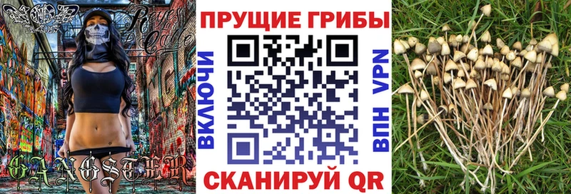 купить наркотик  Красавино  сайты даркнета состав  Псилоцибиновые грибы мухоморы 