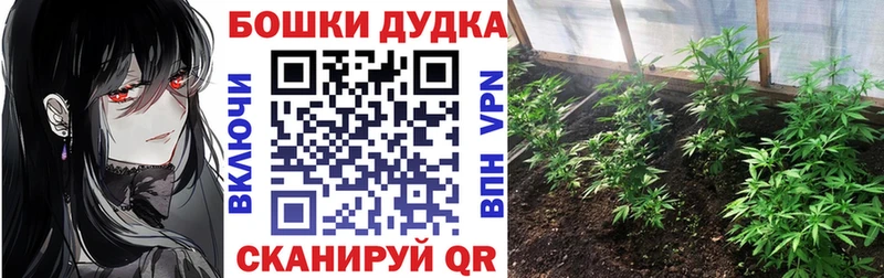 Бошки Шишки ГИДРОПОН  Красавино 