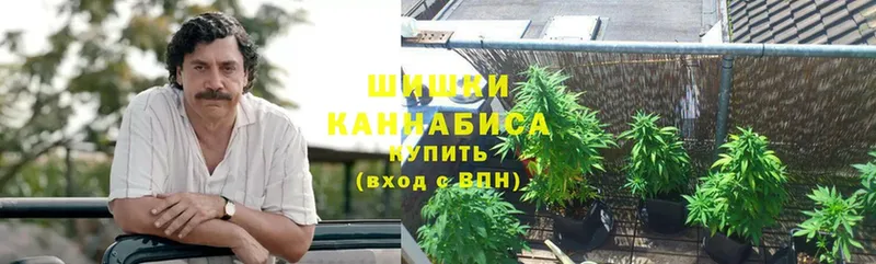 Шишки марихуана SATIVA & INDICA  купить закладку  Красавино 